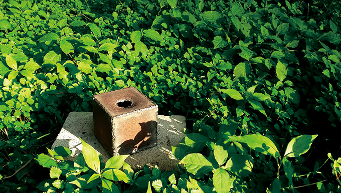 �ċz�����